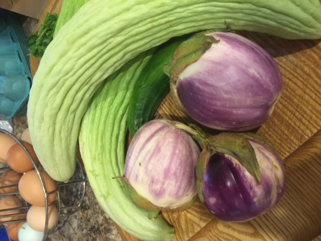 Mandy eggplant